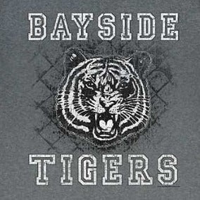 Saved By The Bell Schoolyard Tigers T-Shirt product image 2